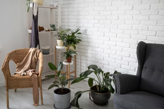 Simple room decor ideas: Rearrange furniture and add plants to make your space look better without spending a dime.