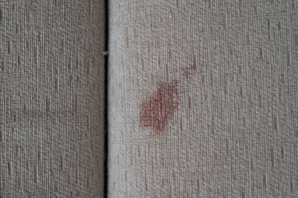 mattress cleaned of blood stains with vinegar