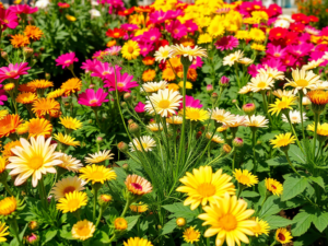 Top 5 Weed Killers for Flower Beds that Won’t Harm Your Plants